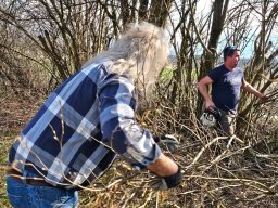 whatsapp image 2026-03-19 at 18.09.41